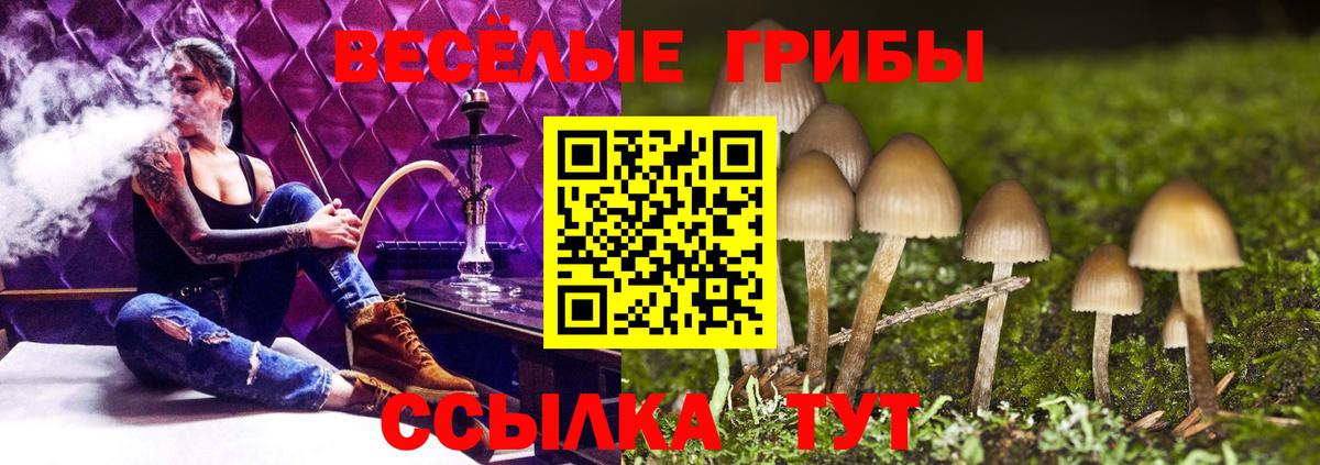 Галлюциногенные грибы Psilocybine cubensis  Вход с VPN  Краснокаменск 